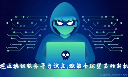 跨境区块链服务平台试点：赋能全球贸易的新机遇